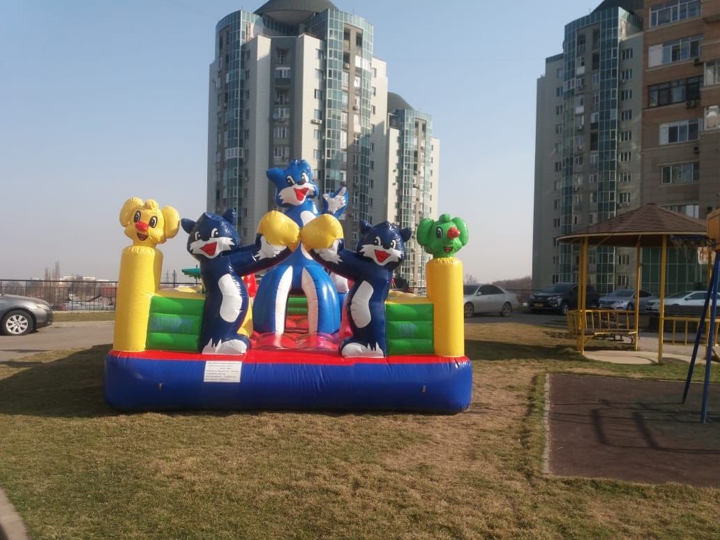 Батут в аренду..