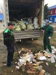 Вывоз мусора недорого утилизация тбо на свалку