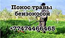 Покос травы бензокосилкой