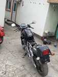 Suzuki bandit250cc