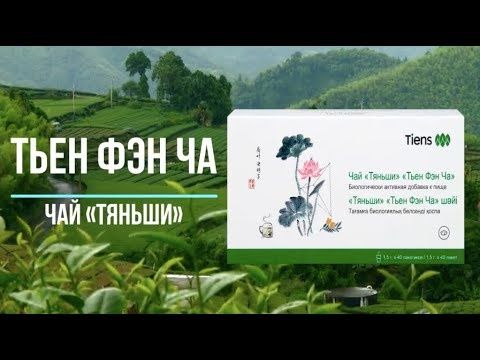 Тьен фэн ча "Чай Тяньши"