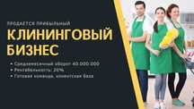 Прибыльный клининговый бизнес