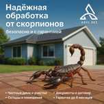 Профессиональная обработка от скорпионов в Шымкенте и области