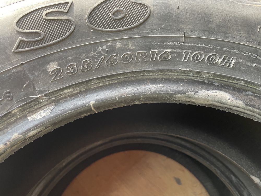 4 летних болона
