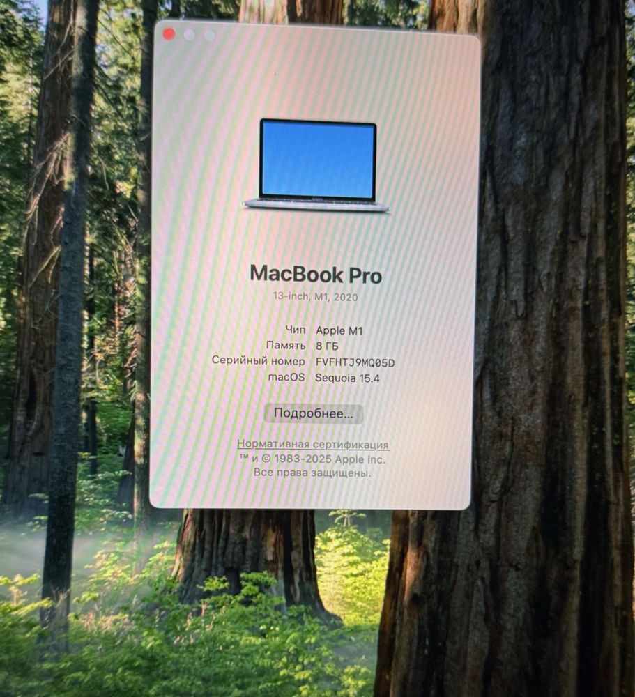 Apple MacBook Pro 2020, M1