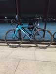 Продам Wnr.    Pista