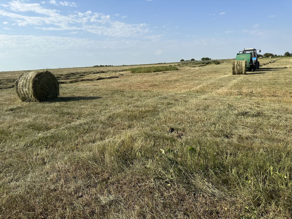 Рулон шөп сатылады продам сено в рулонах
