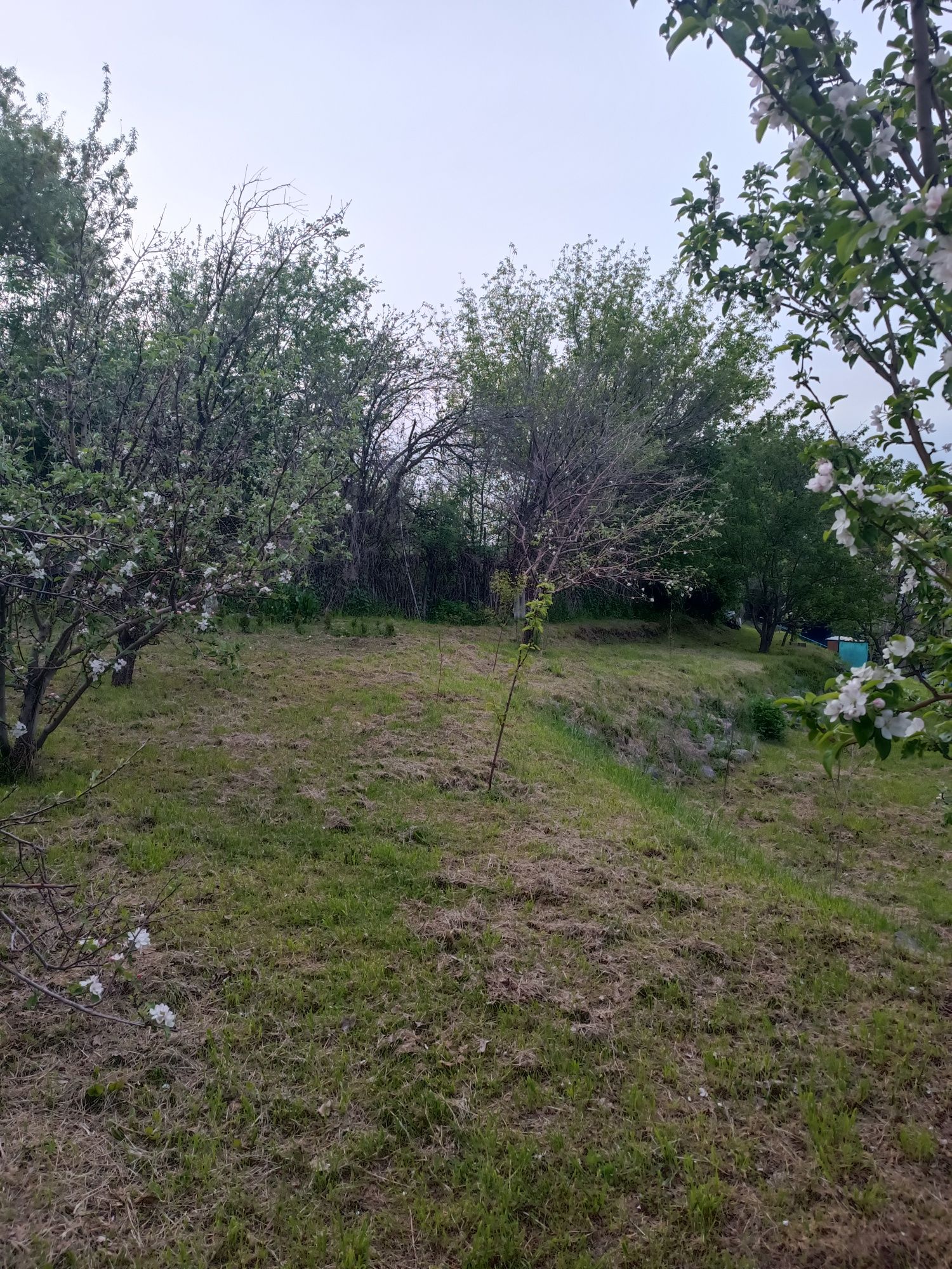 Продам дом у подножия гор в поселке Кайнар