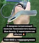 Тонкохвостый полоз