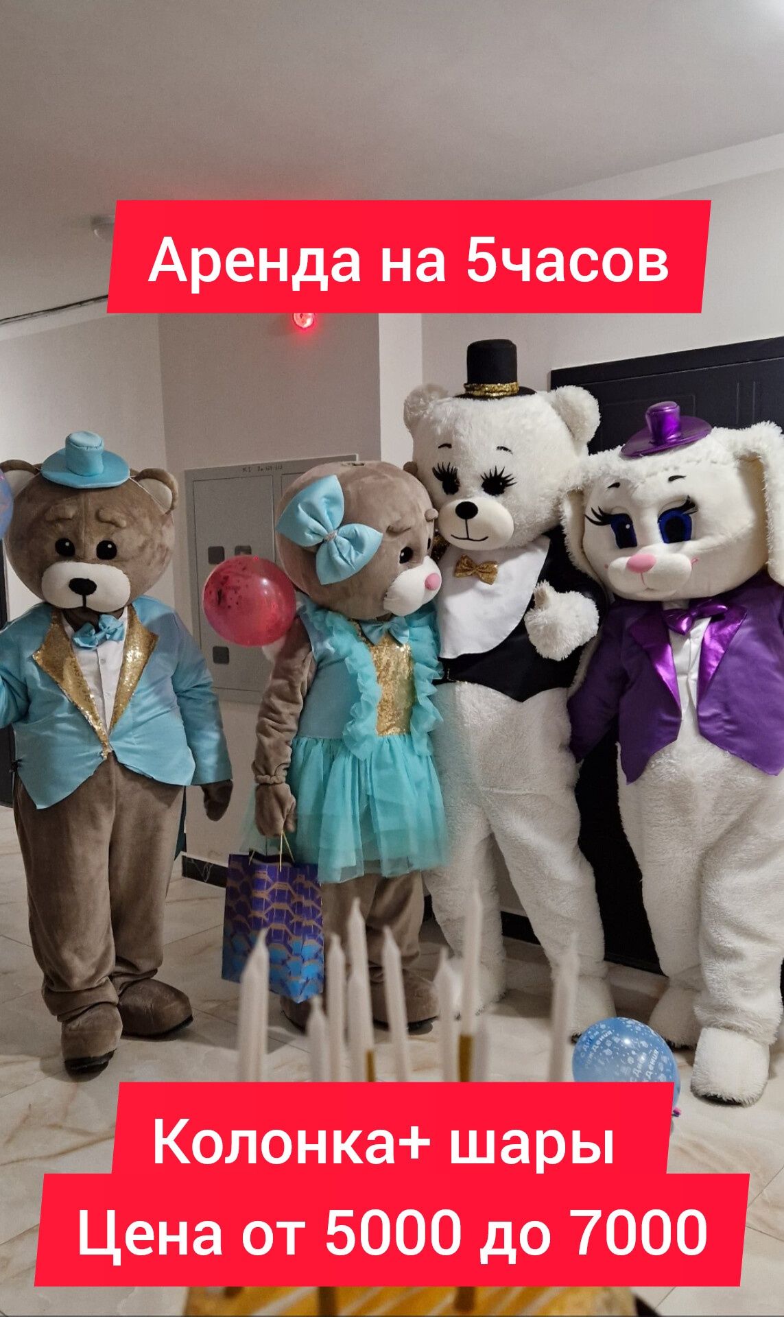 Мишки Тедди, прокат аренда зайки пупсы аниматор