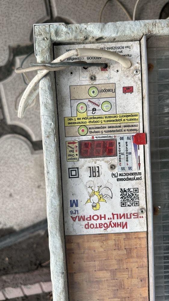 Петухи на откорме