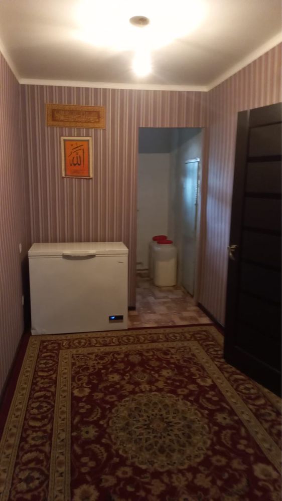 Продам дом в п.Копа
