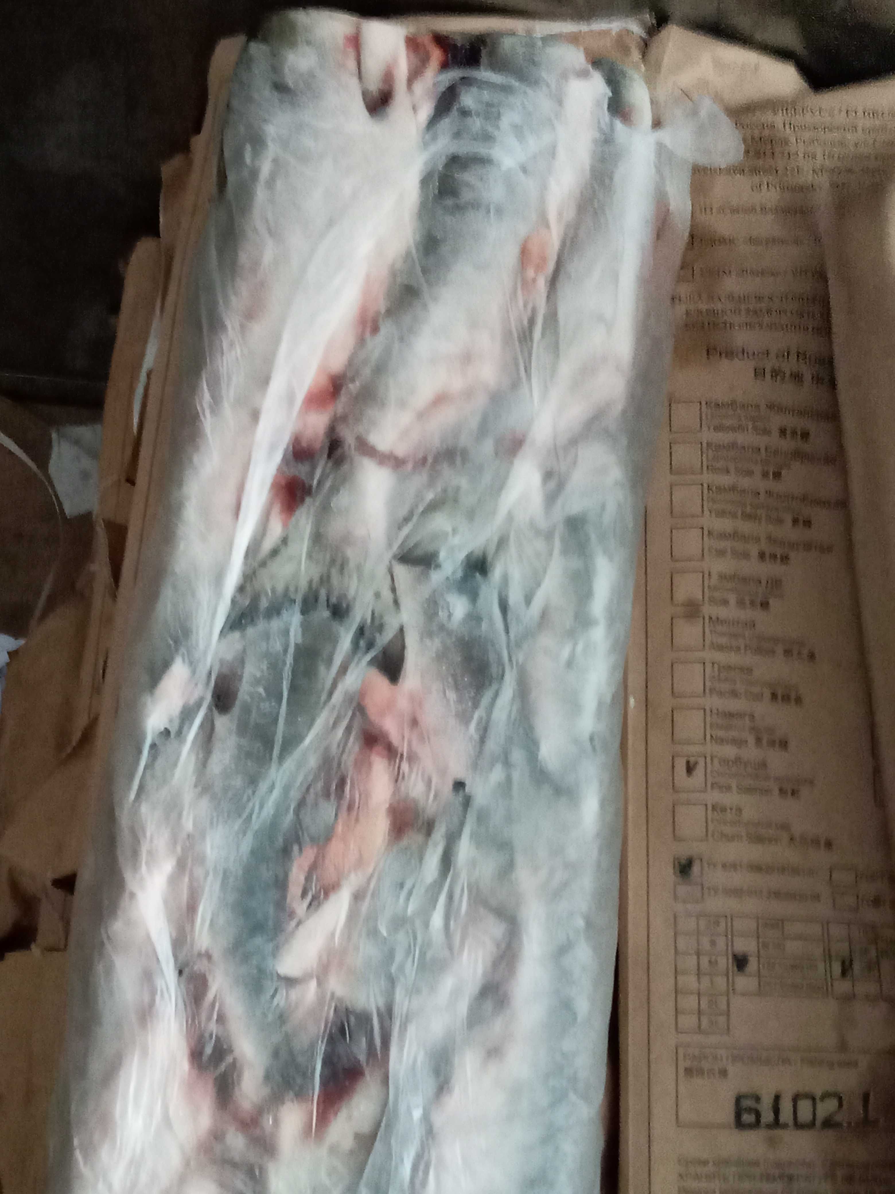 рыба Скумбрия 400-600гр. Норвегия. Продажа коробками 20 кг.