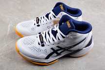 Кроссовки Asics Sky Elite FF MT 2