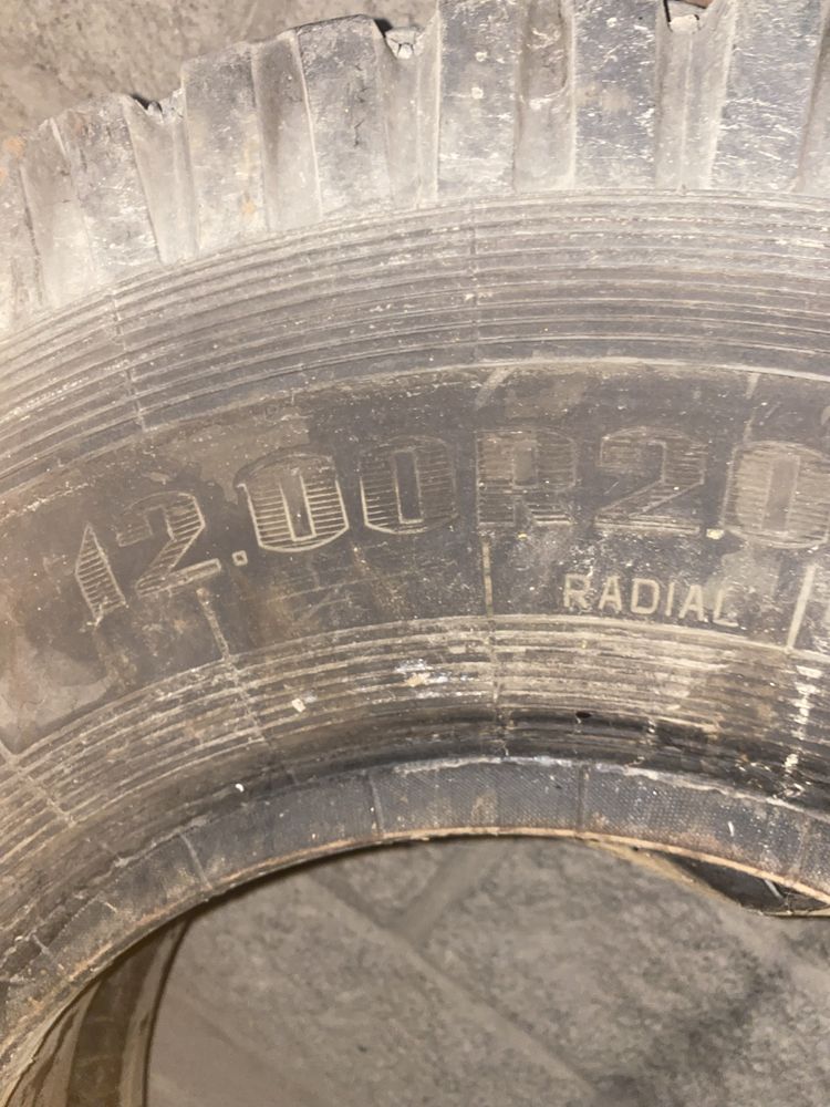 Продам шины недорого