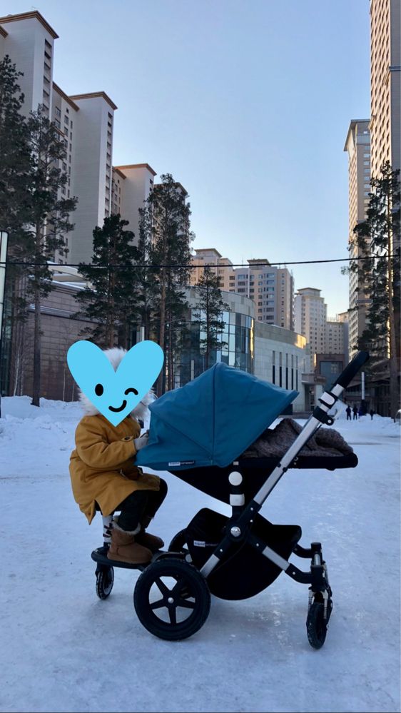 Коляска 2в1 Bugaboo Cameleon3