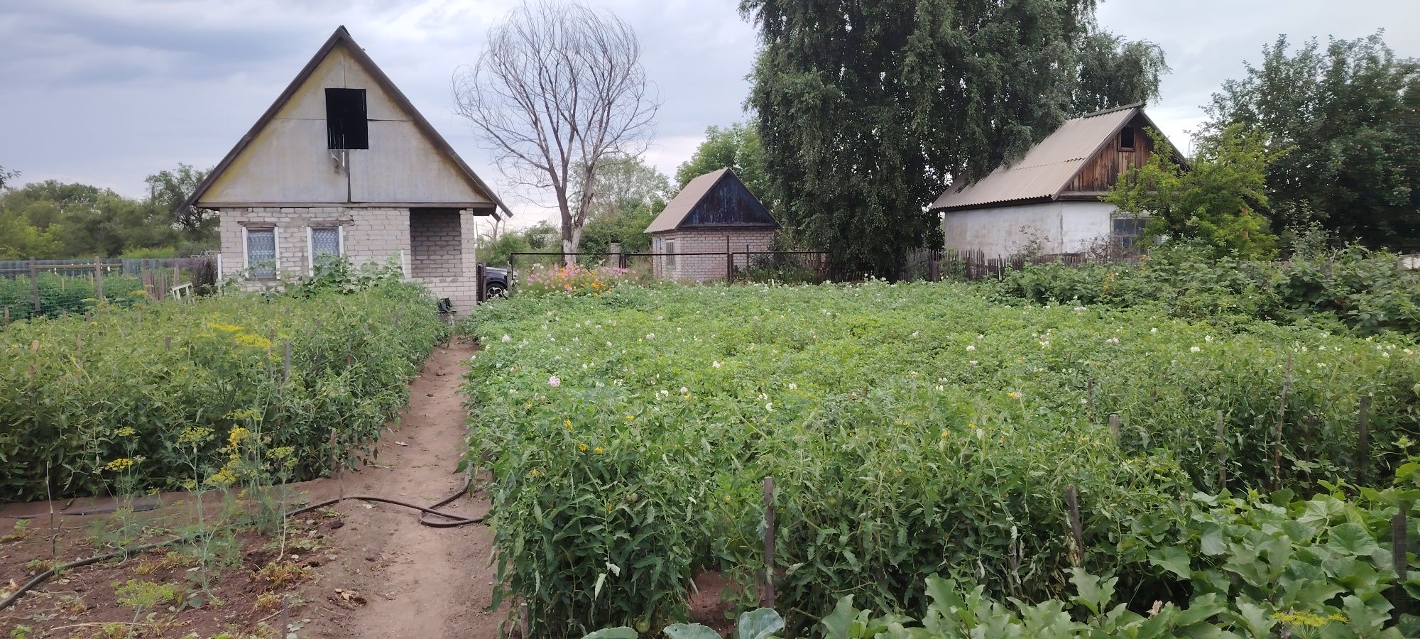 Продам дачу садовоства яблоневая
