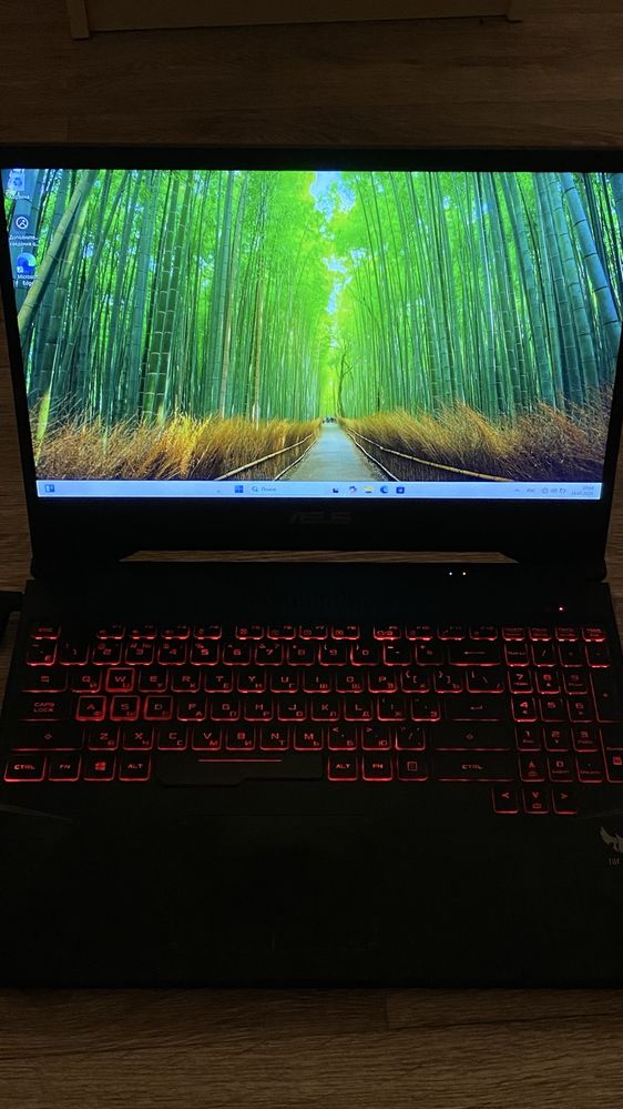 Ноутбук ASUS FX505GM