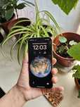 Iphone 15 pro 128 гб