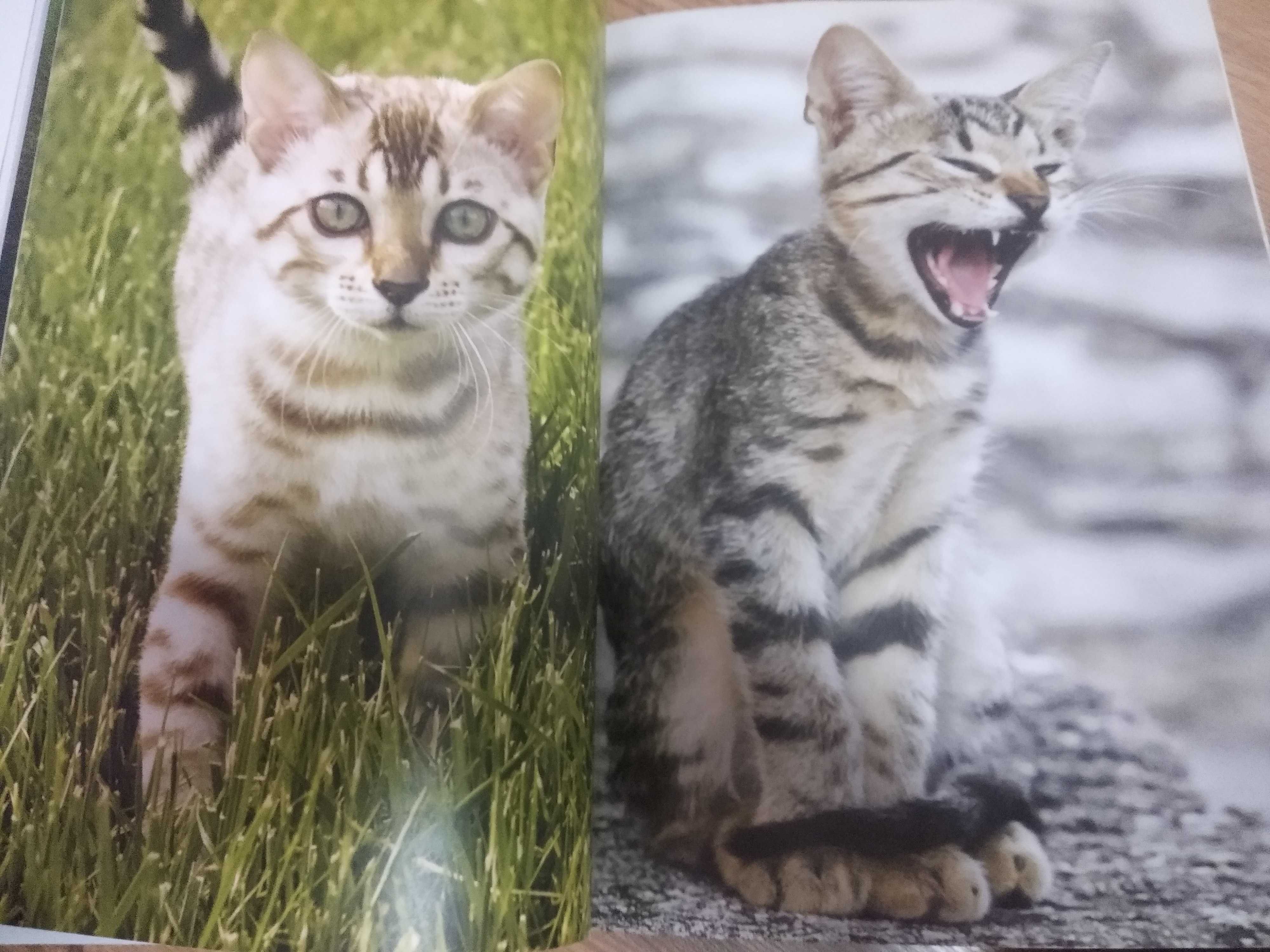 СРОЧНО  Книга раскраска постер 60 постеров и раскрасок 700тг