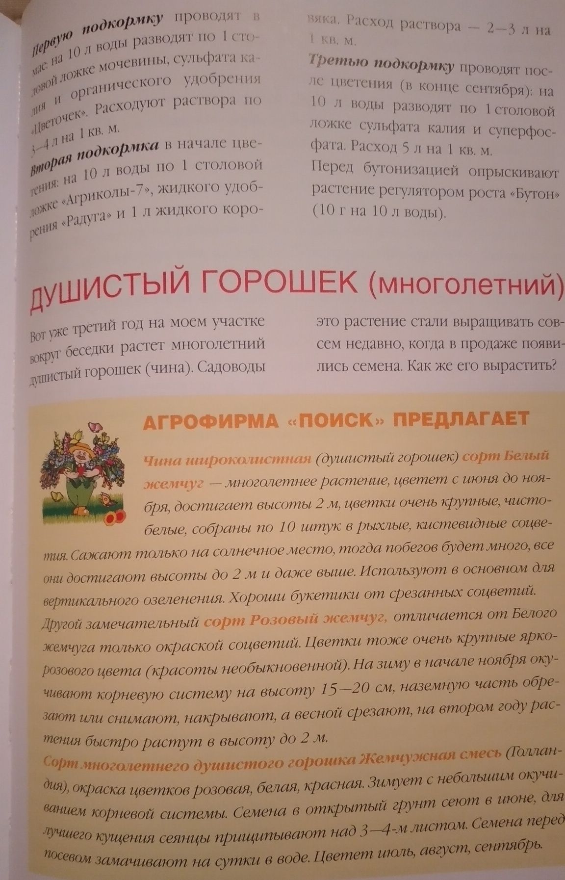 Цветы на вашем участке