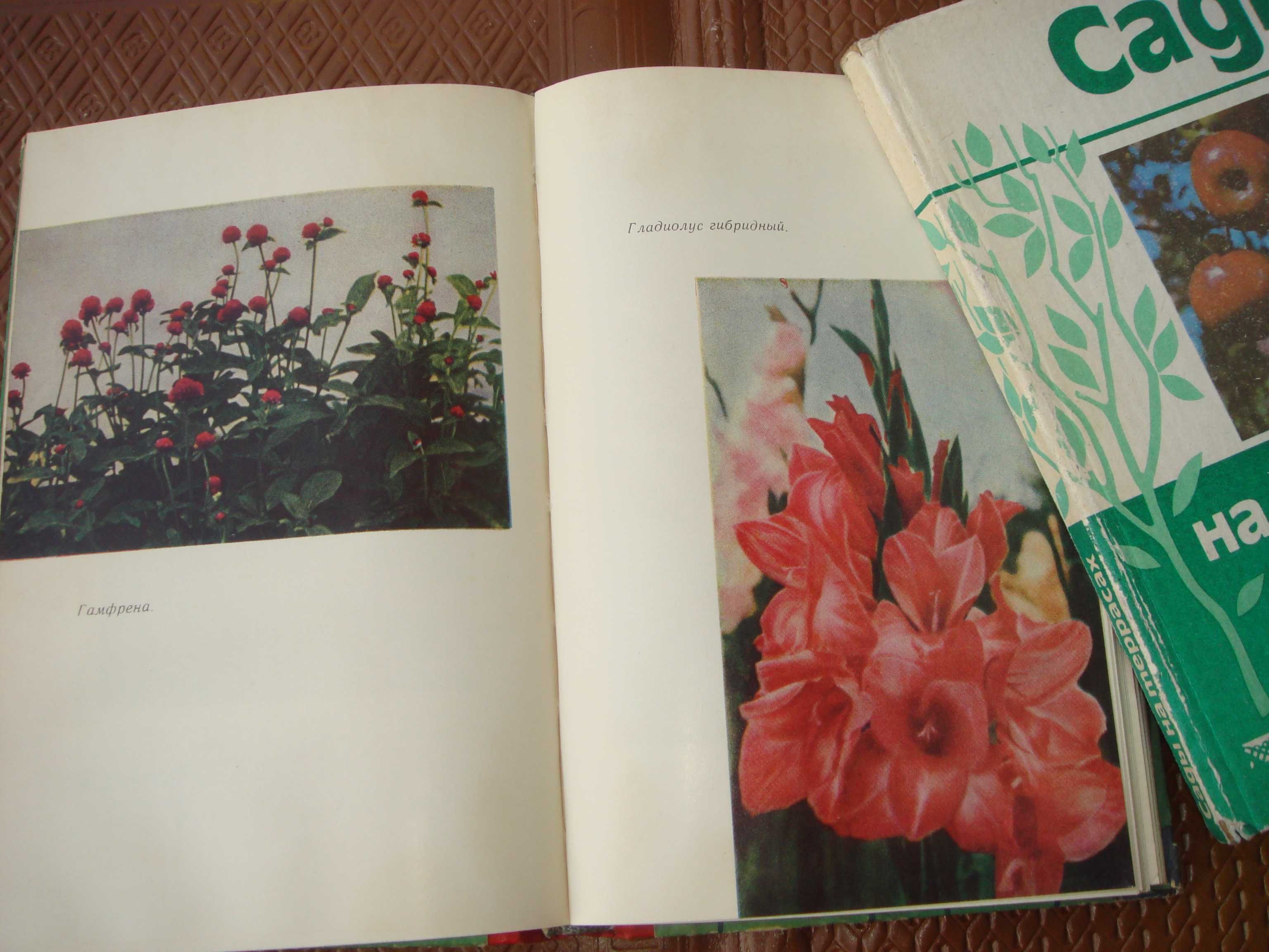 Книги Цветы 1964 года и Сады на Террасах 1983 Алма-Ата