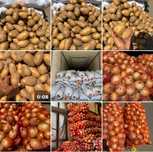 Продукты для столовых и ресторанов - доставка по г. Алматы