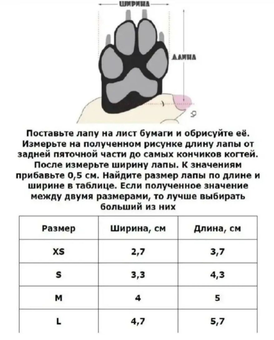 Обувь для маленьких собак