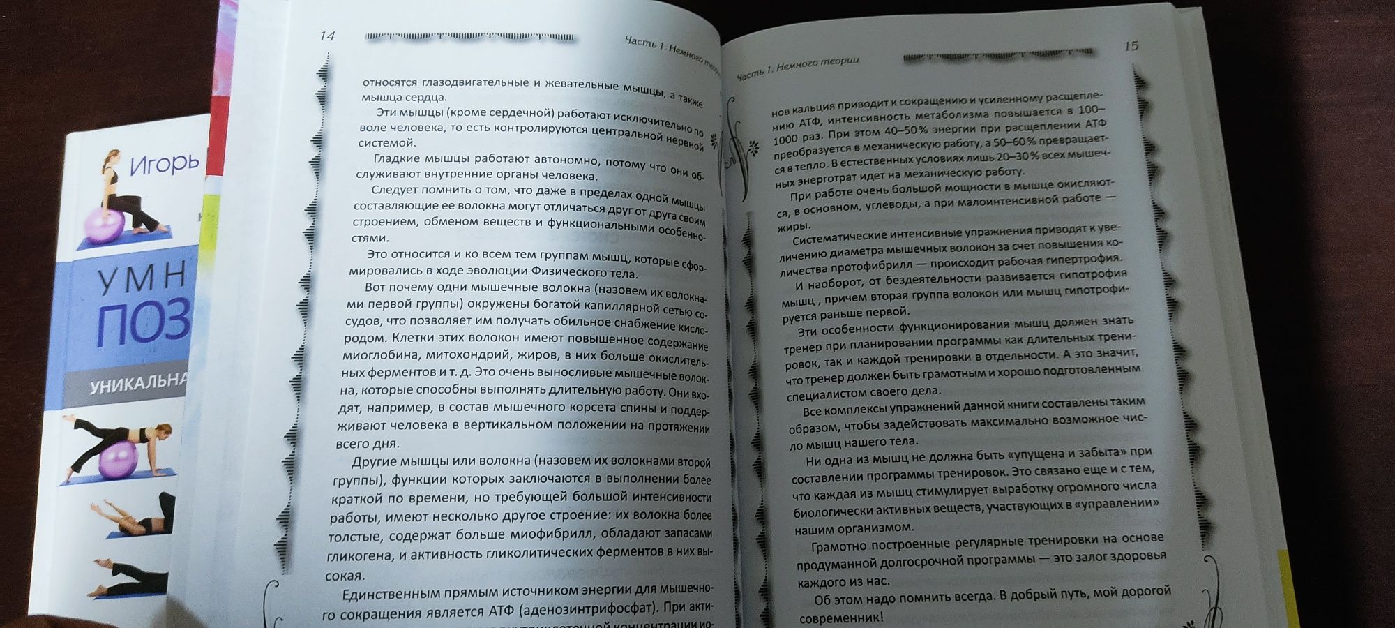 Книга «Система "Умный позвоночник"» Борщенко. Коновалов, Чесноков.