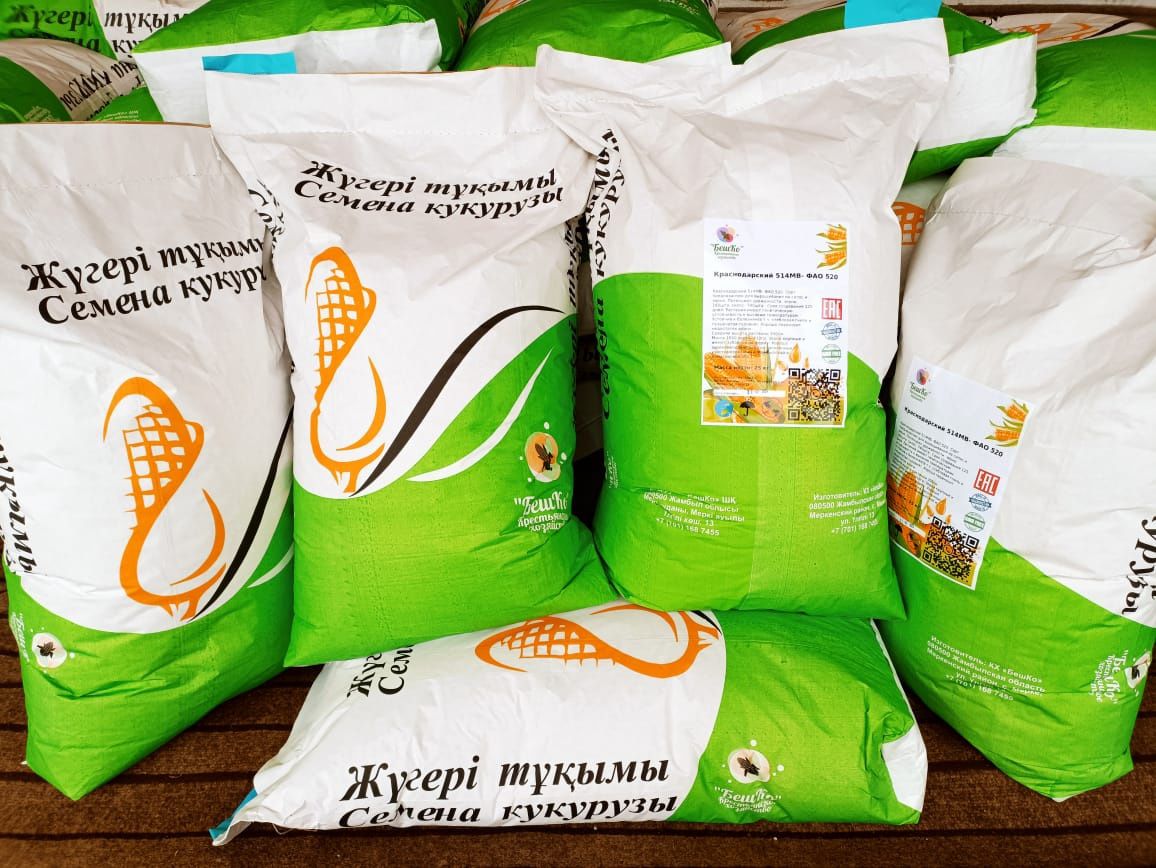 Семена кукурузы. Жугери тукымы.