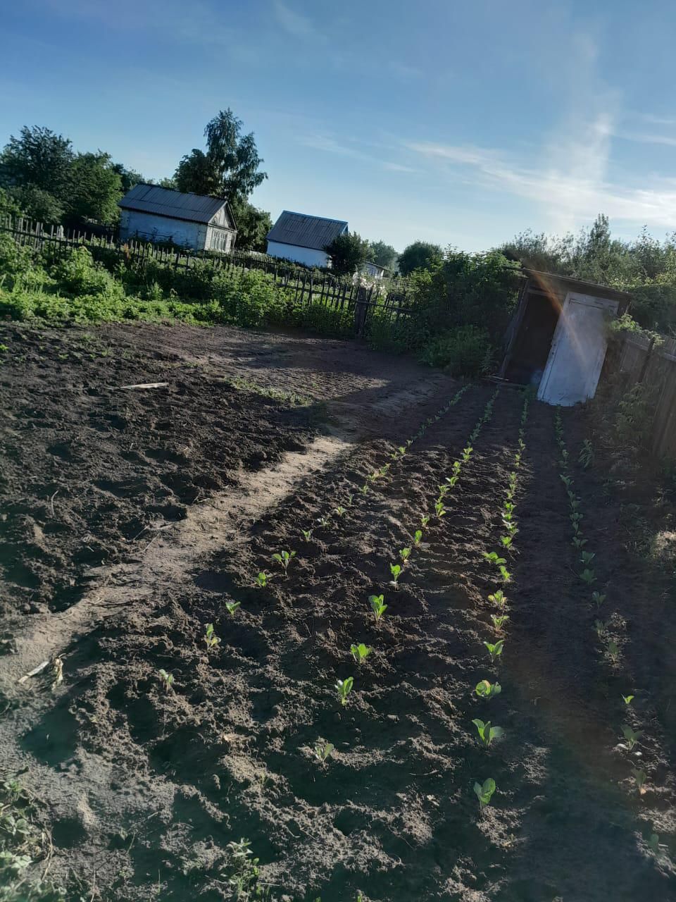 Продам дачи 2 шт сразу или по одному
