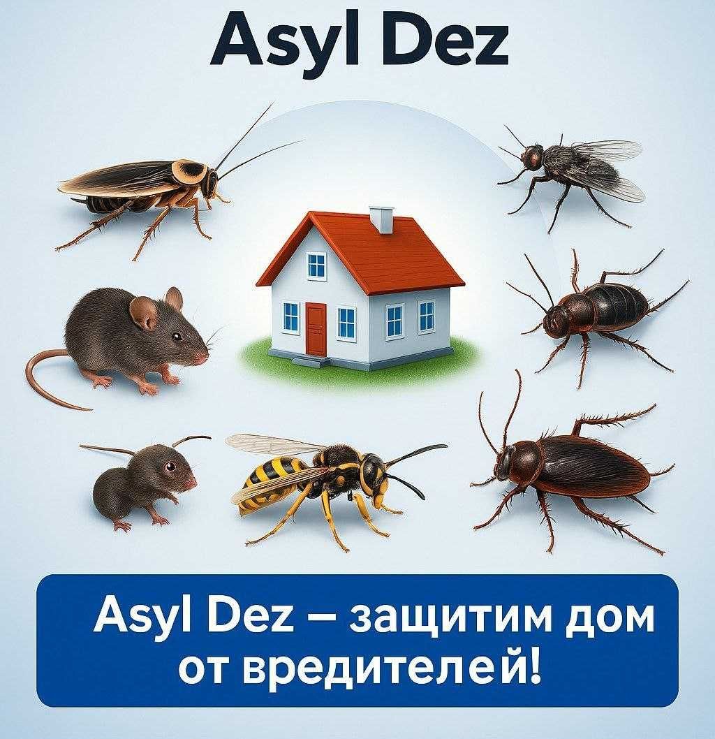 Қонақ үйлер мен көпқабатты үйлерге дезинфекция/ дезинсекция қызметі