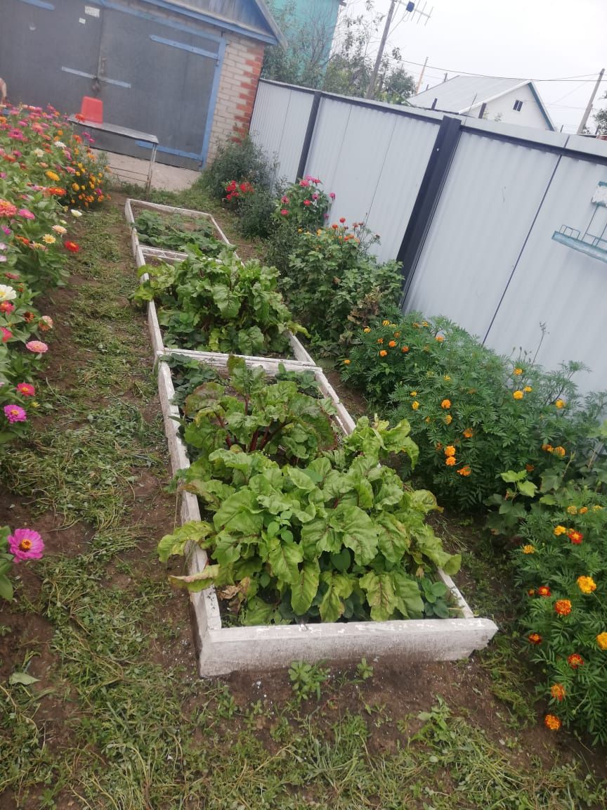 Продам дом в двухквартирном доме