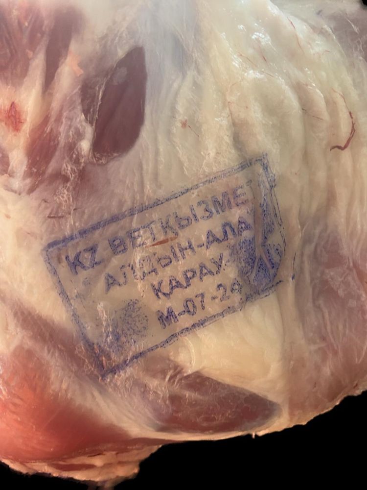 Мясо баранина, тушами, живую