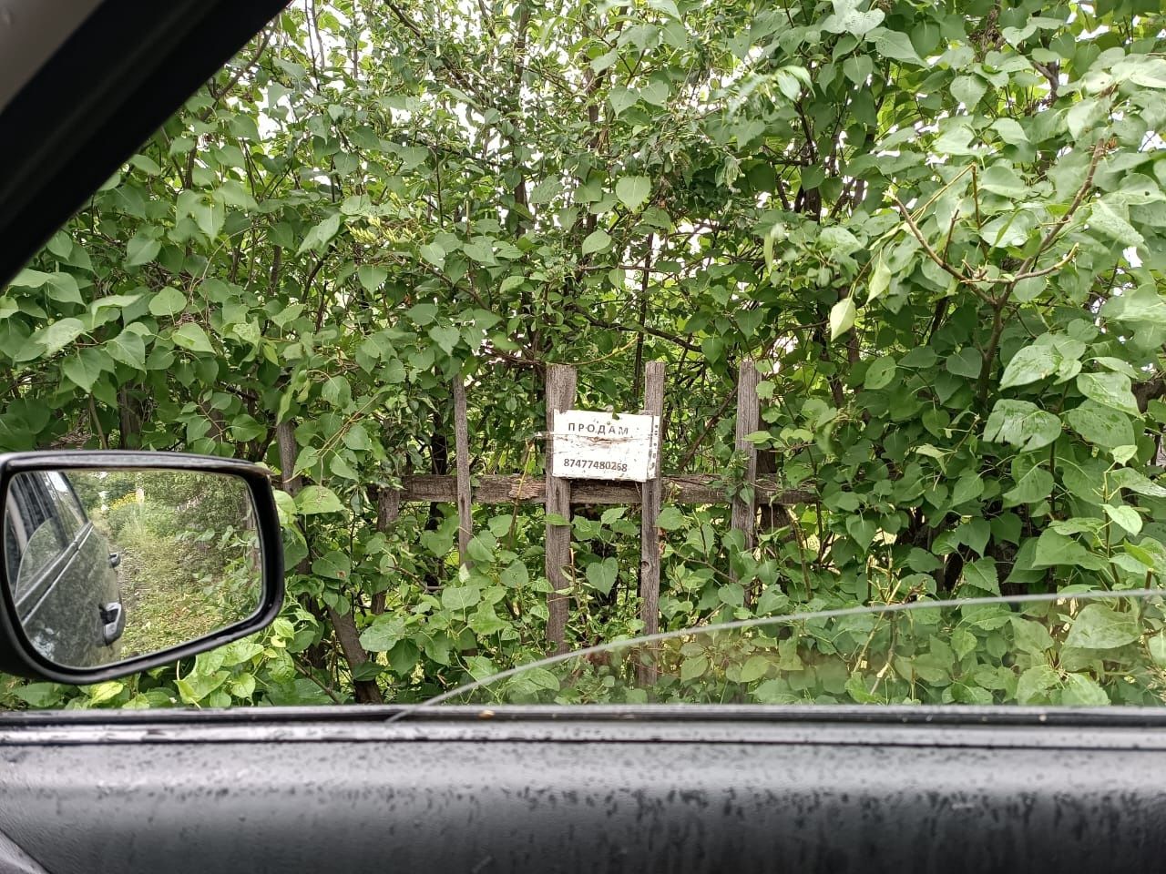 Дача по Мамлютской трассе