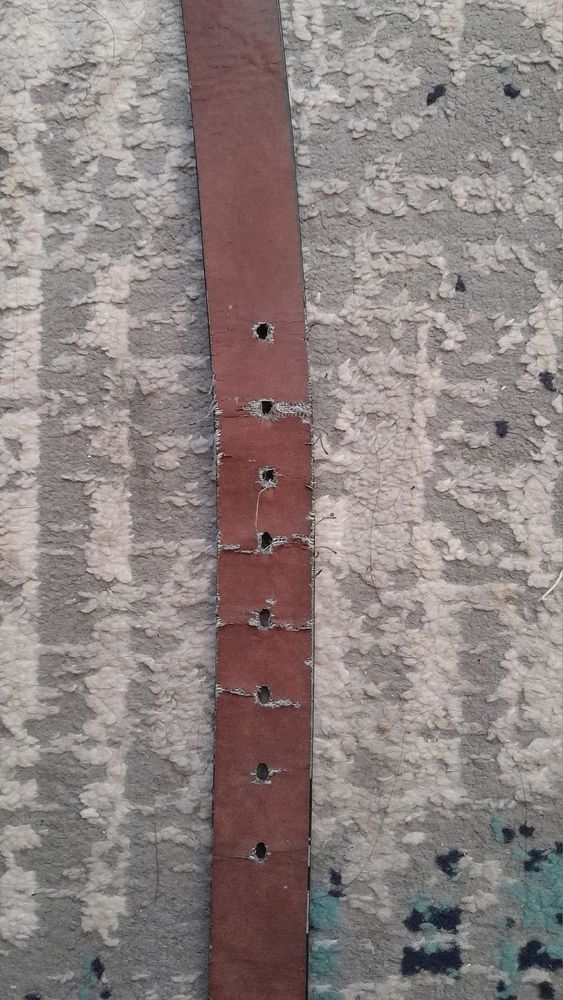 Ferragamo belt