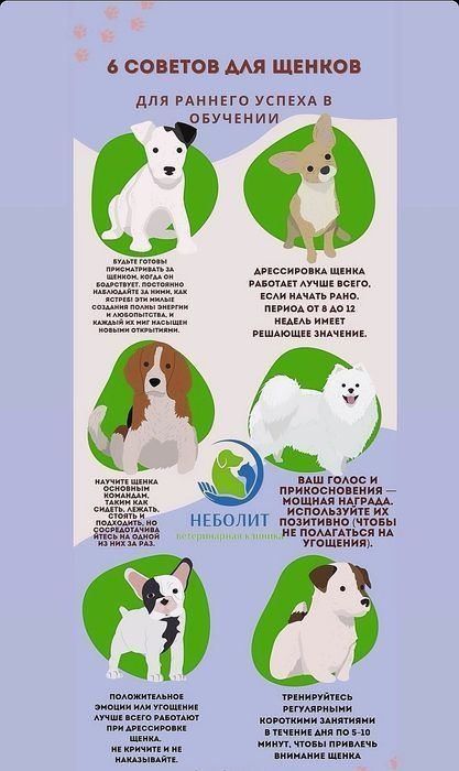 Зеленоглазый мальчишка ждёт своих людей