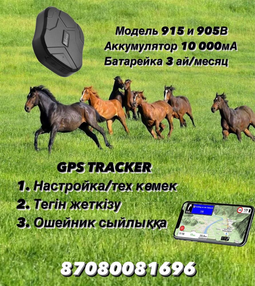 ЖПС трекер