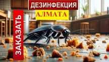 ‼️Уничтожение мышей крыс обработка Райымбек ‼️