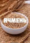 Ячмень в мешках