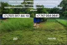 Покос травы триммером