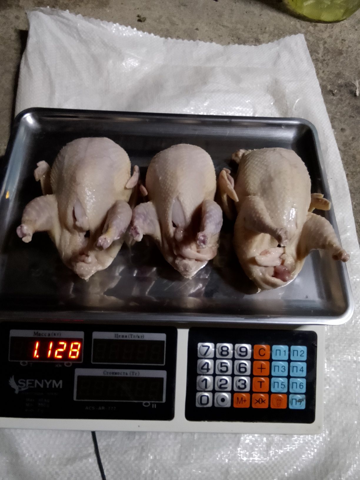 Мясо перепела ,всегда свежее , возраст 50-60 дней
