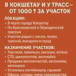 Земля земельный участок в аренду в городе и по трассам зеренда красный
