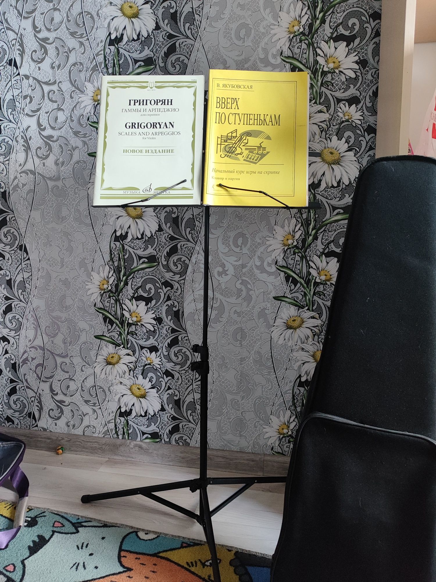 Скрипка в идеальном состоянии 4/4.