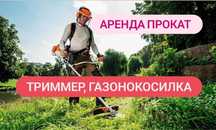 Газонокосилка Триммер Электрокоса Аренда Прокат инструментов