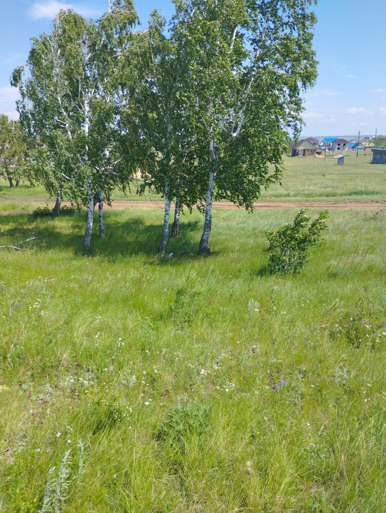 Продам земельный участок
