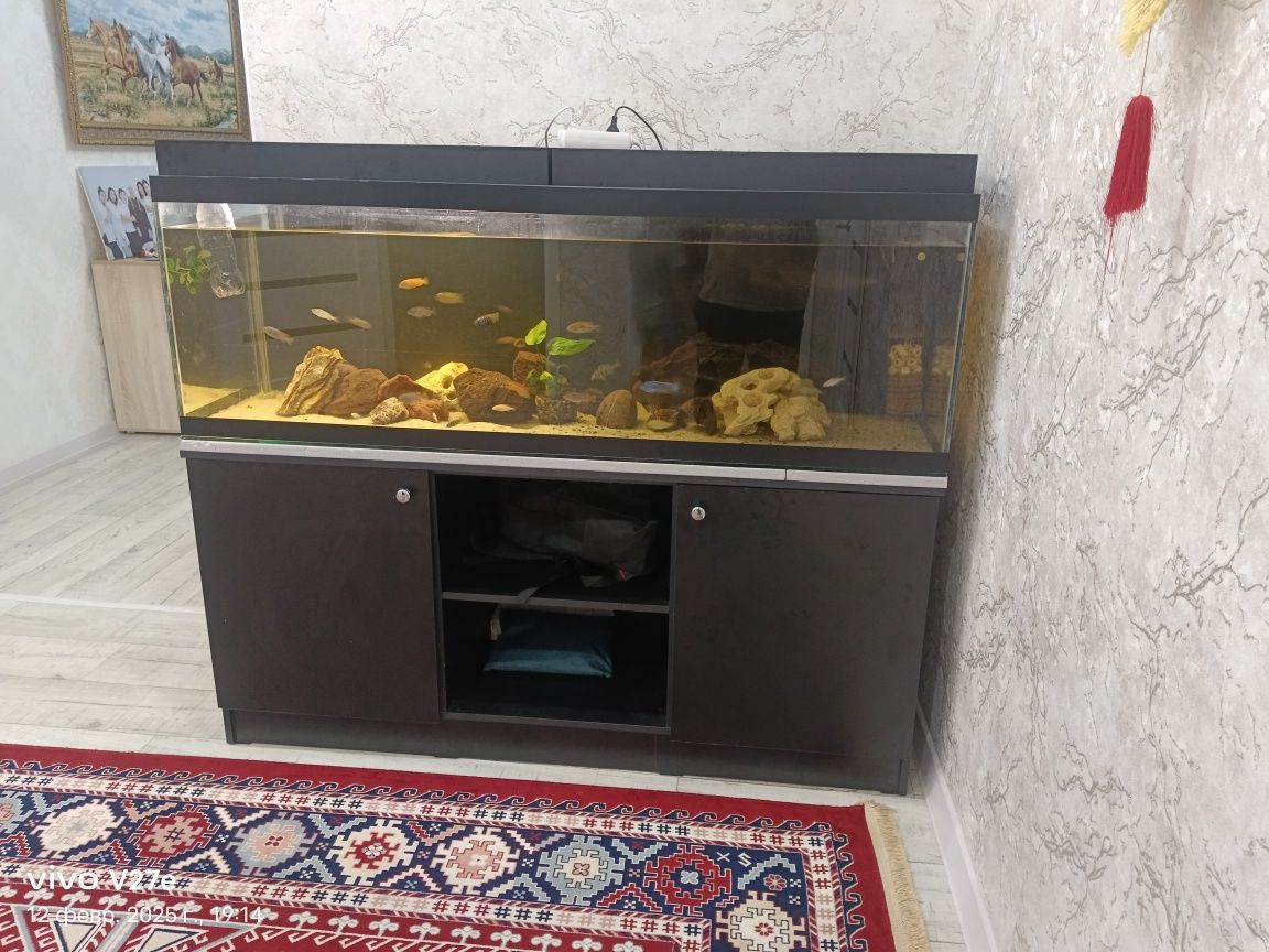 Продаю аквариум .