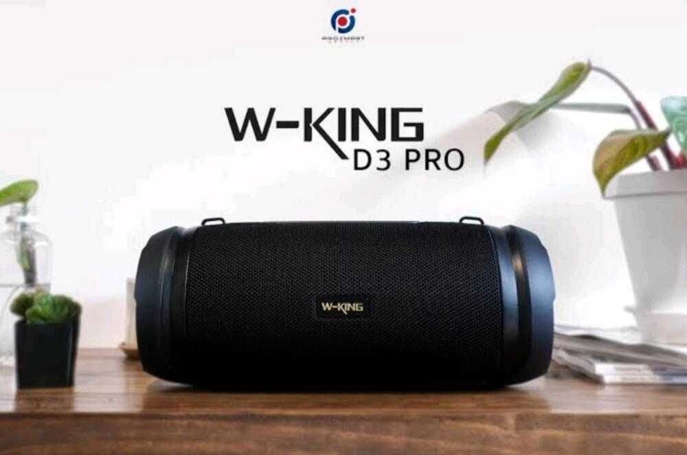 Портативная колонка W-King D3Pro черный