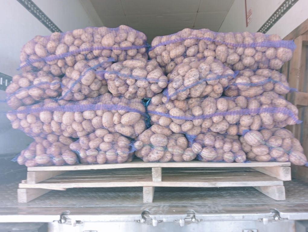 Продам картофель по оптовой цене
