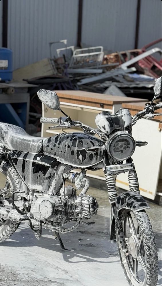 Альфа Рейсер 125сс